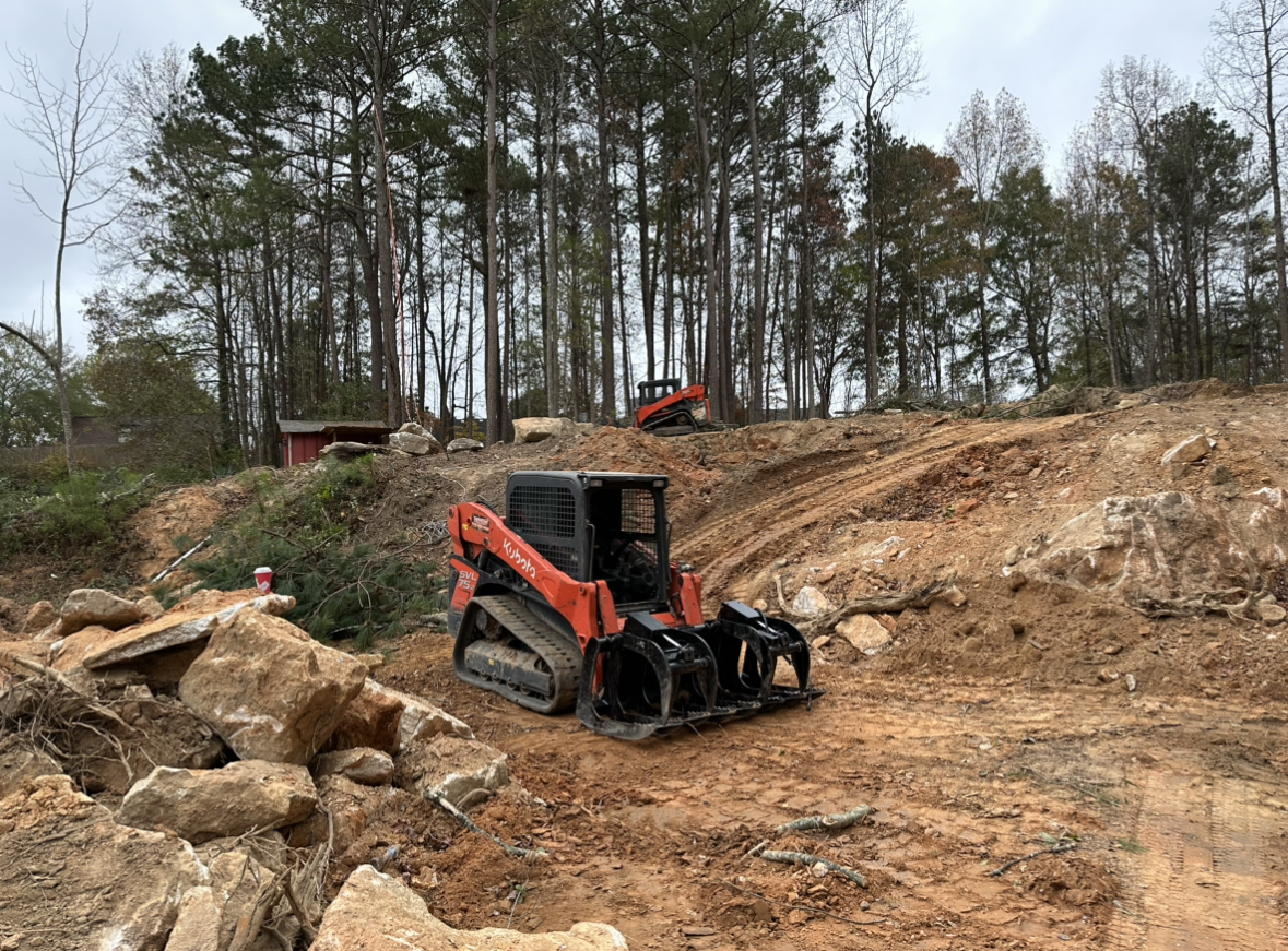 Land Clearing (12)
