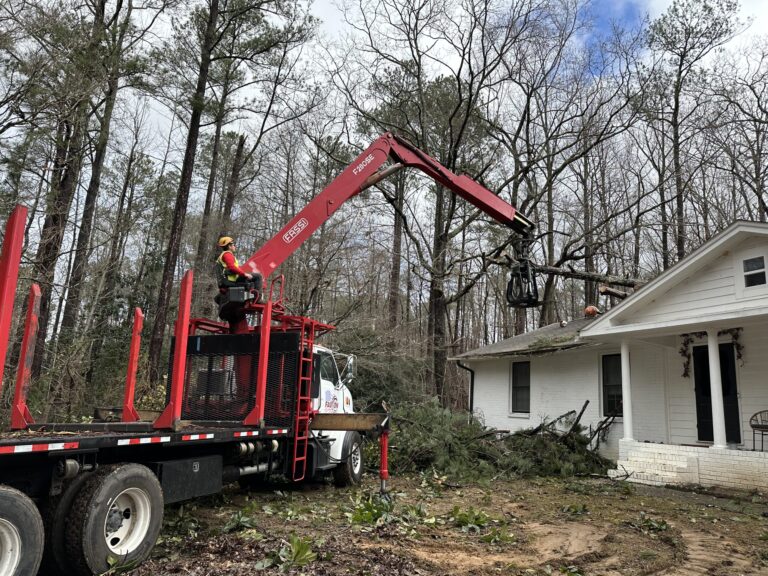 Timberstone Tree Service (1)