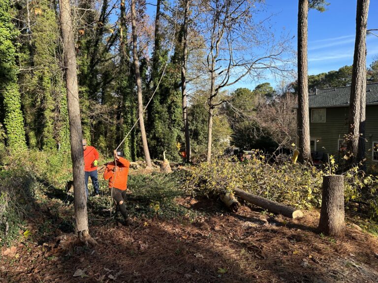 Timberstone Tree Service (14)