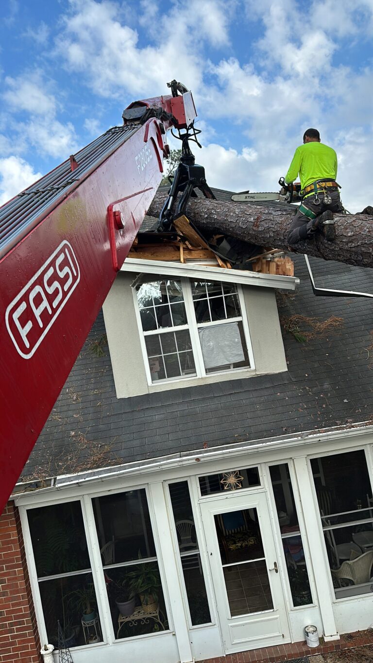 Timberstone Tree Service (2)