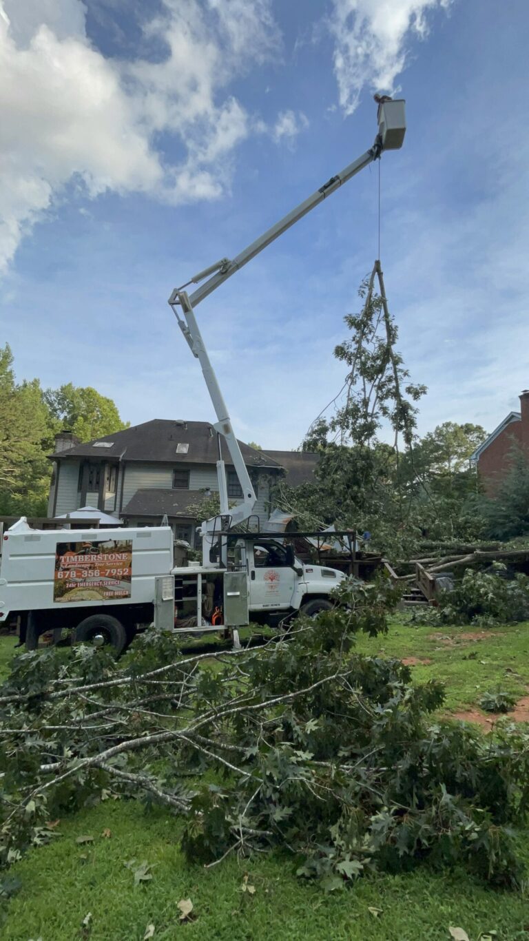 Timberstone Tree Service (28)