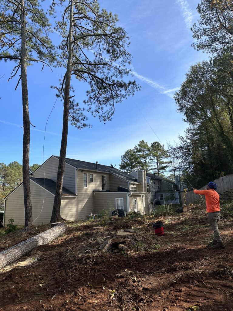 Timberstone Tree Service (4)