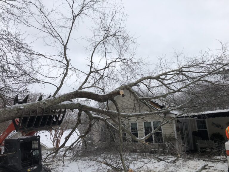 Timberstone Tree Service (9)